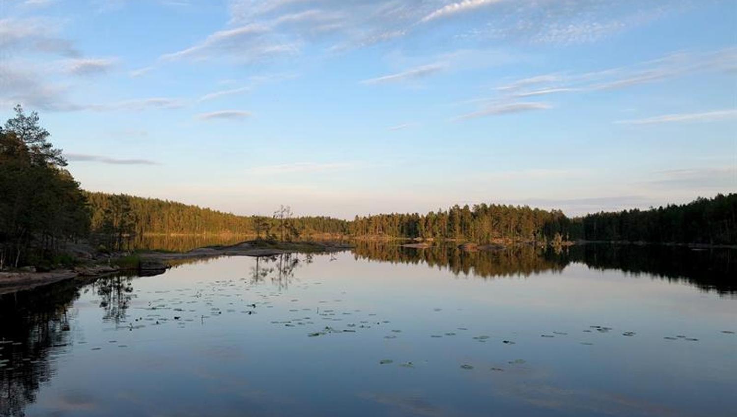 Tjern
