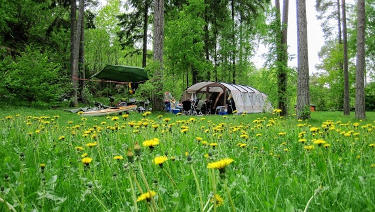 Tent on grass