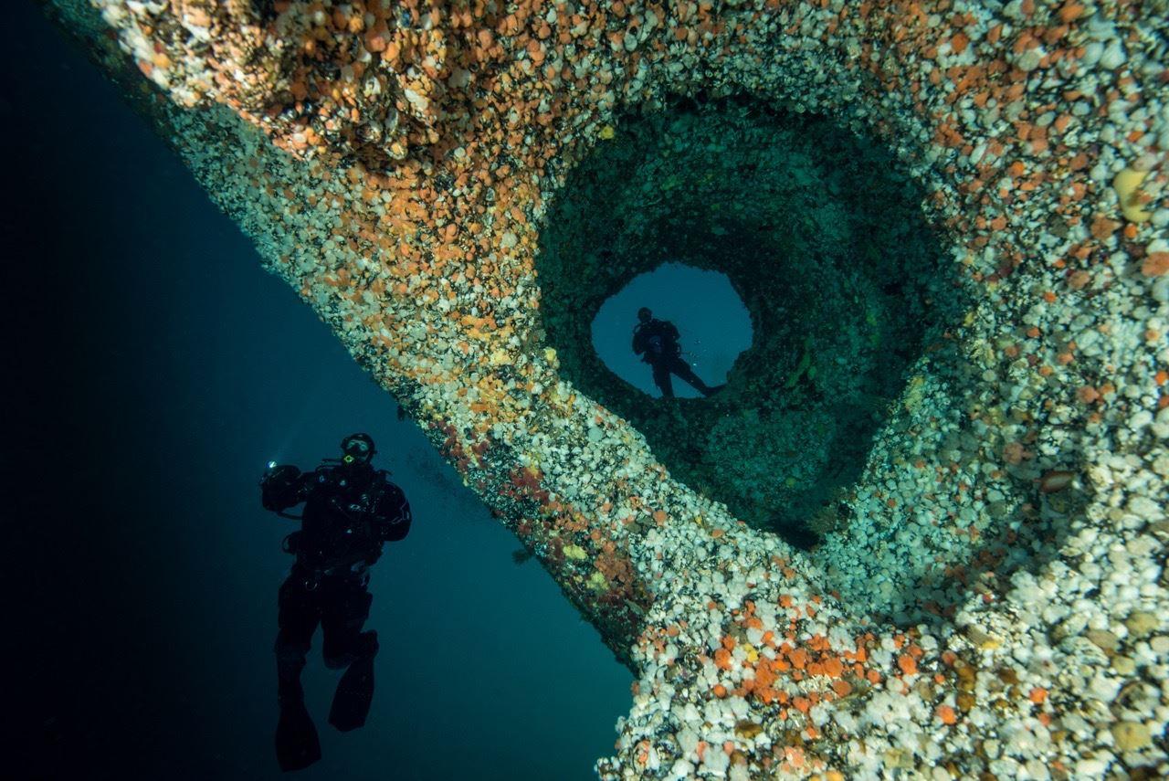 Diving in Saltstraumen