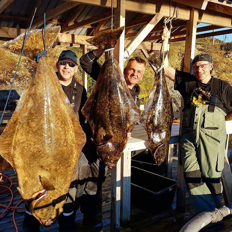 stolt fiskefangst.