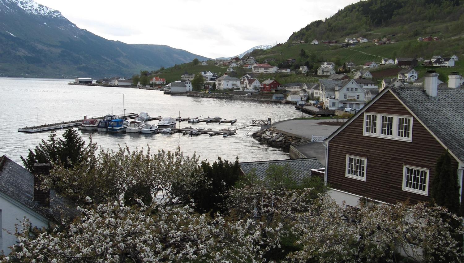 Blooming orchard by the fjord along the Fruit Trail in Hardanger.