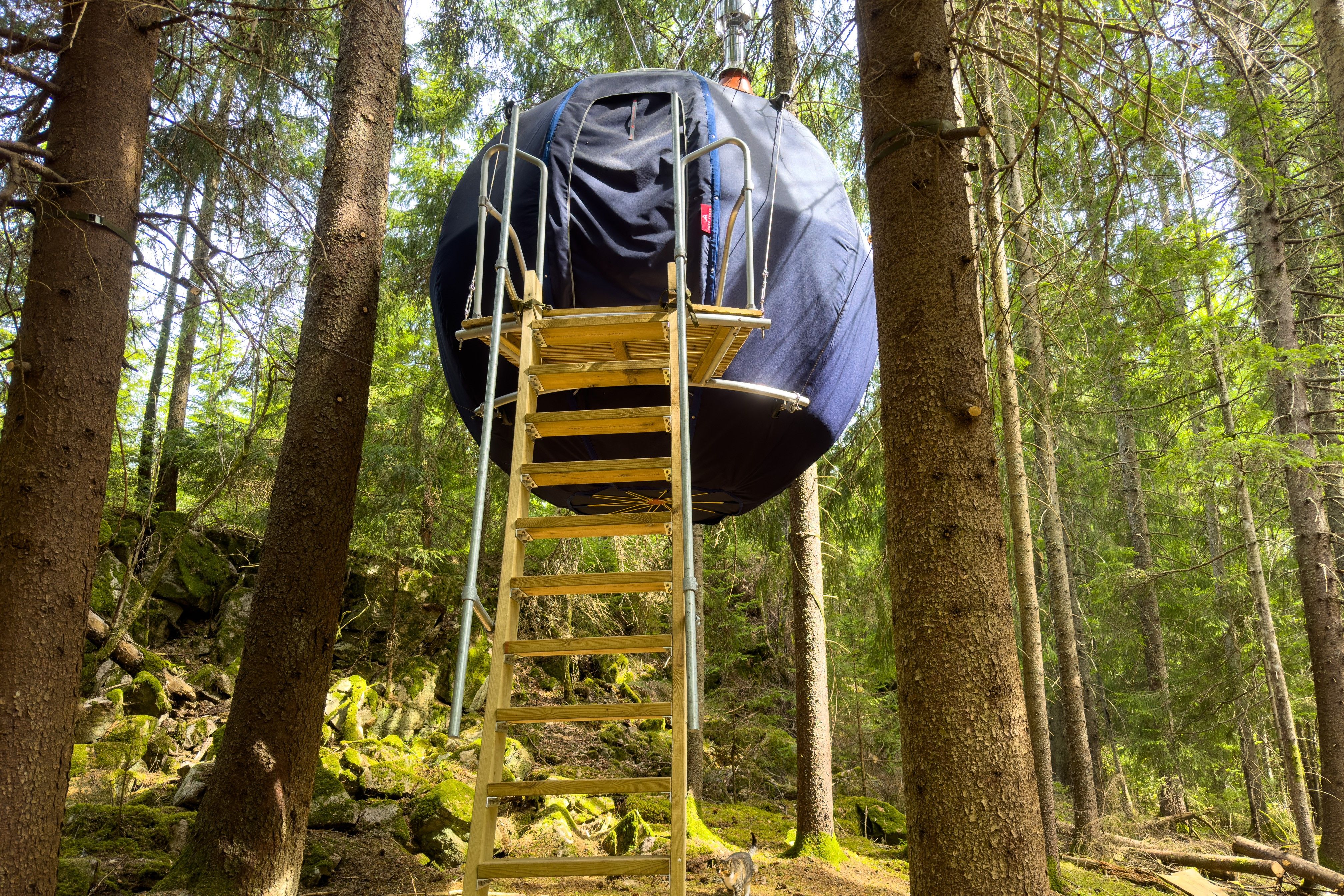 Stairs up to Blåbæret with trees around it