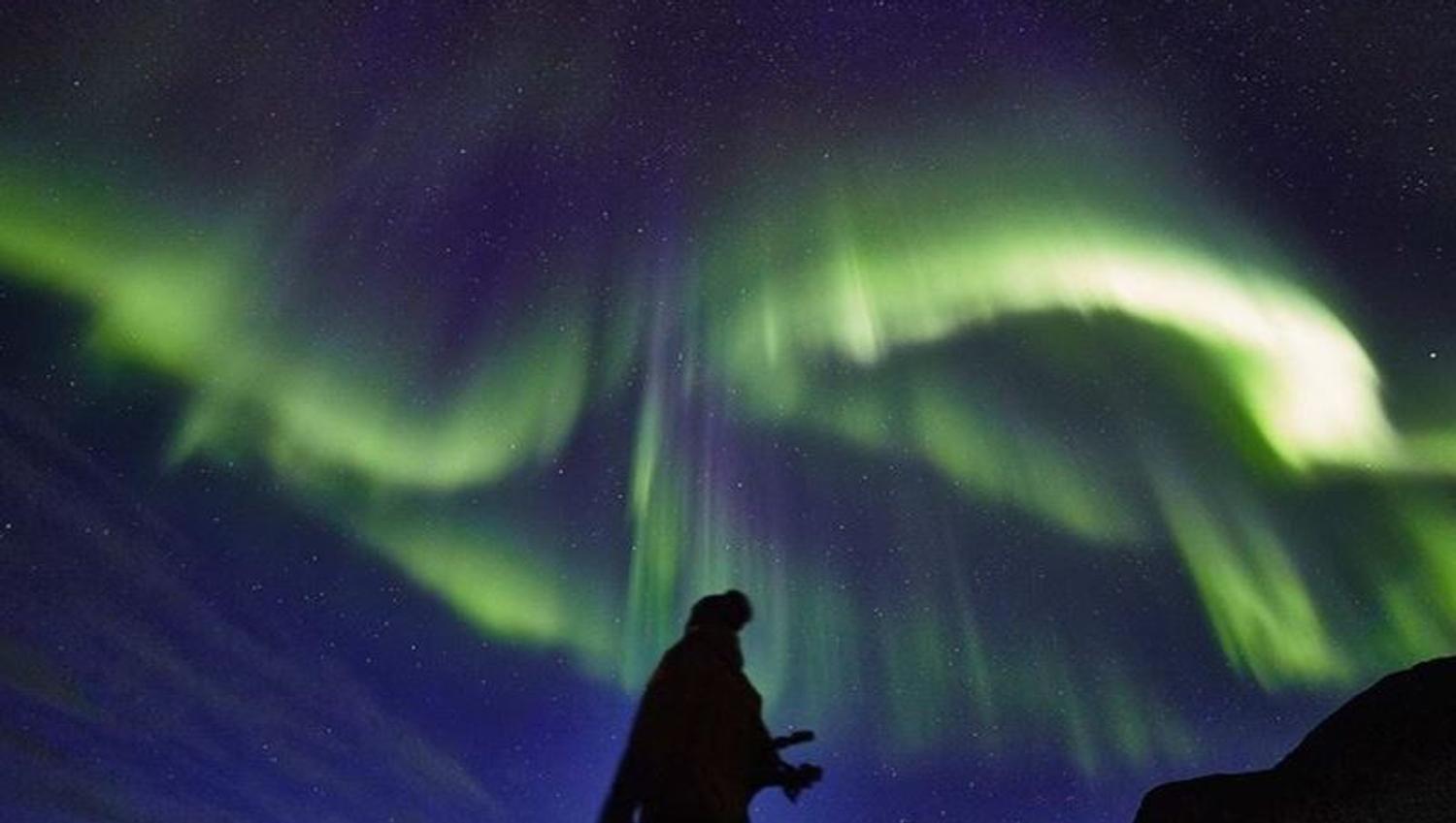 A guest standing under the nrothern lights