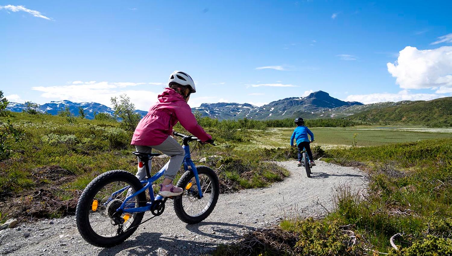 Children cycling the trails of Beitostølen Trail Arrena. Beautiful surroundings with Bitihorn in the background.