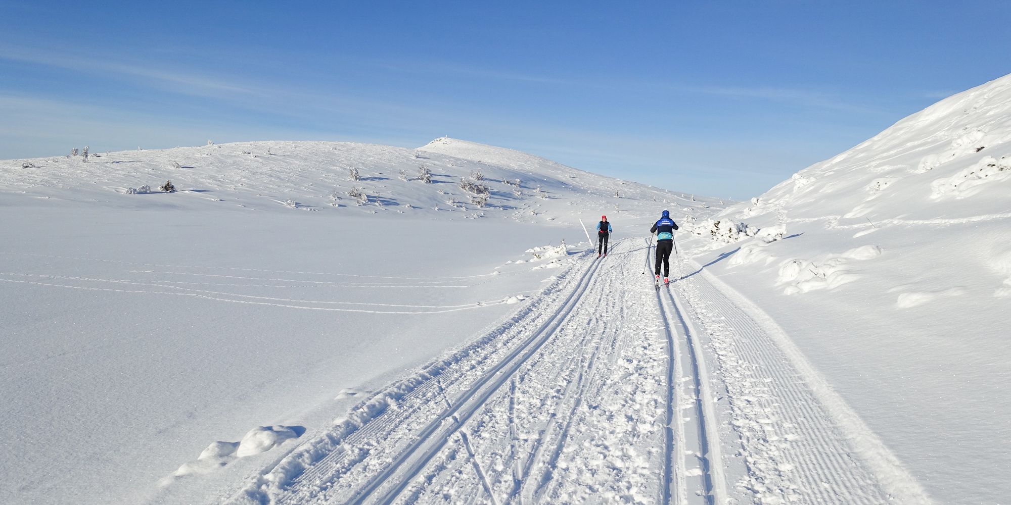 Gulrunden-8