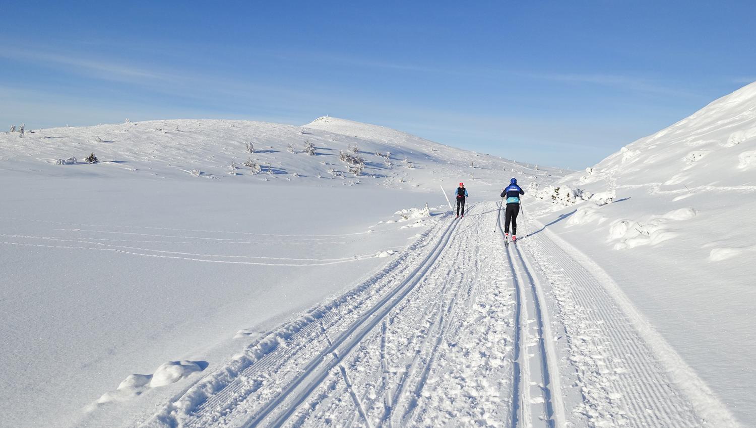 Gulrunden-8