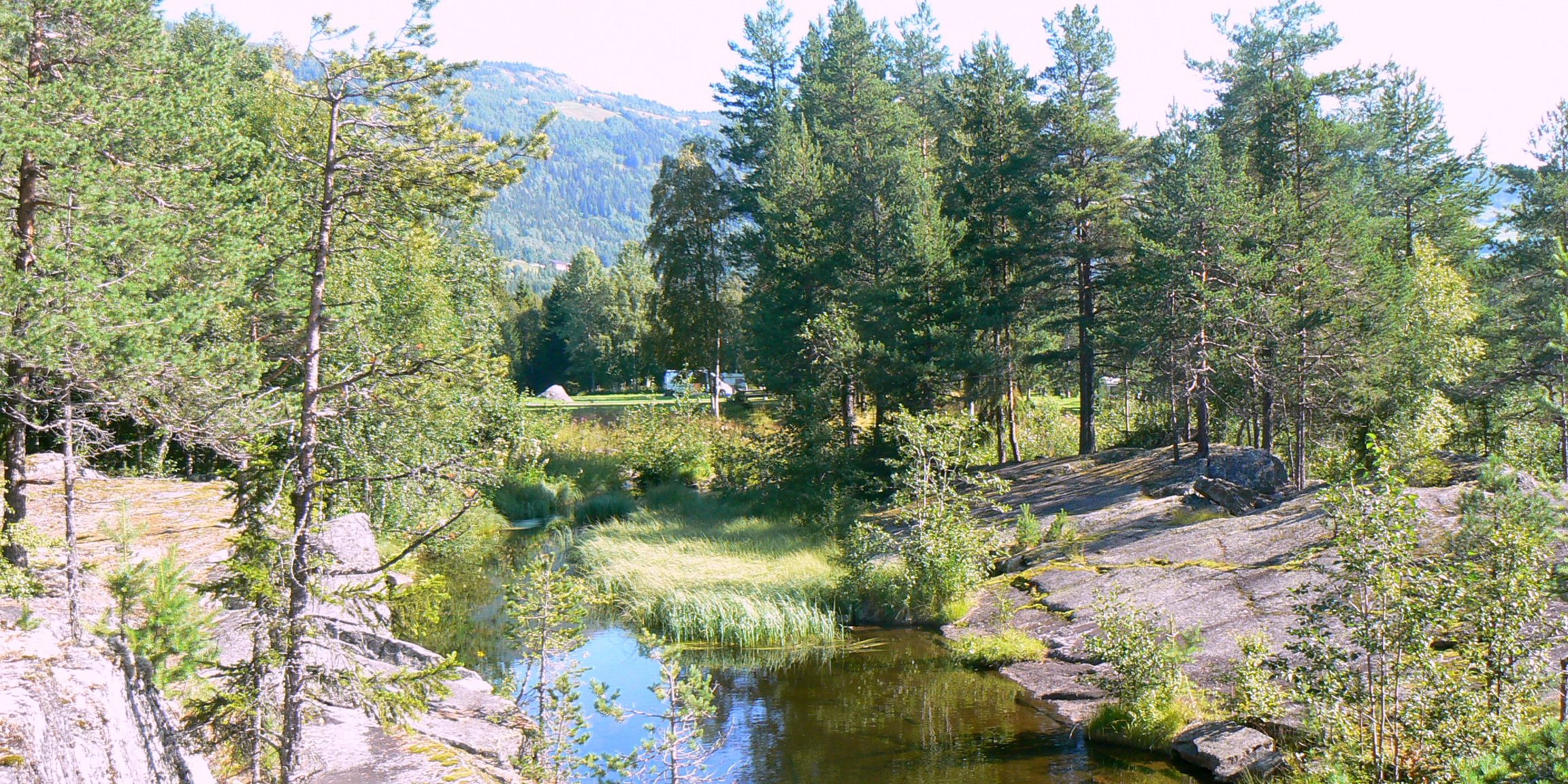 Ål camping