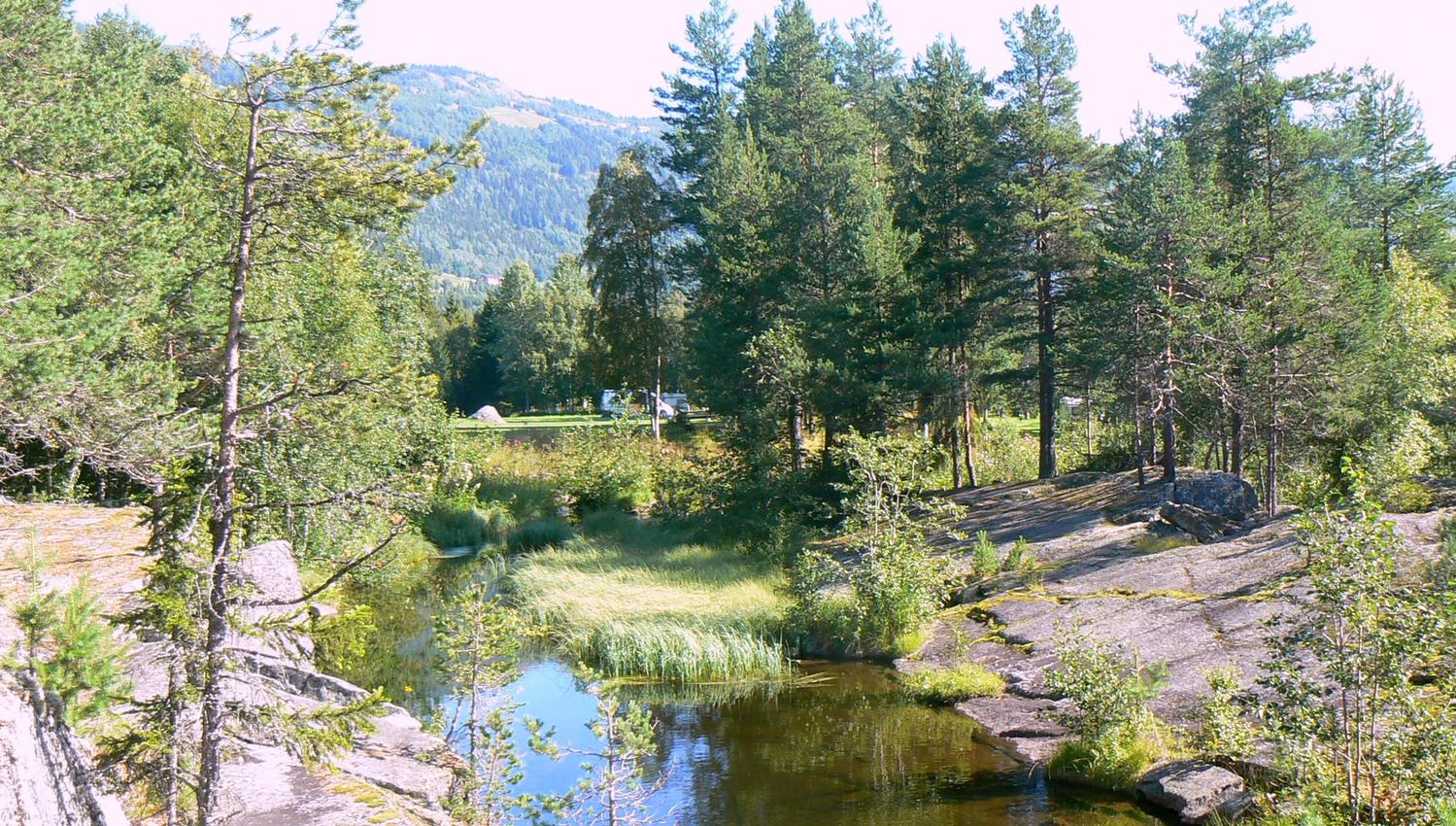 Ål camping