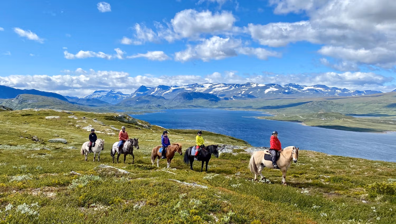 Ridetur til Olefjellet med flott utsikt til Jotunheimen og Vinstern.