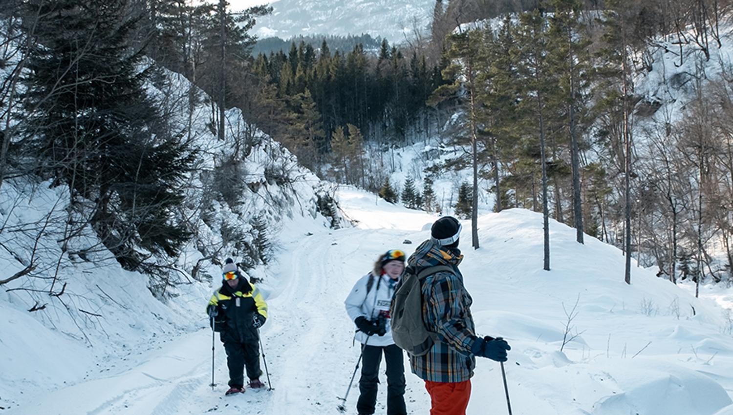 Three snowshoers on a winter trail through the forest in Hardanger.