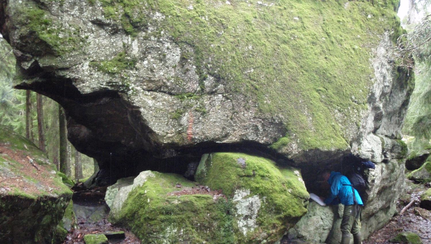 A huge stone in the forrest