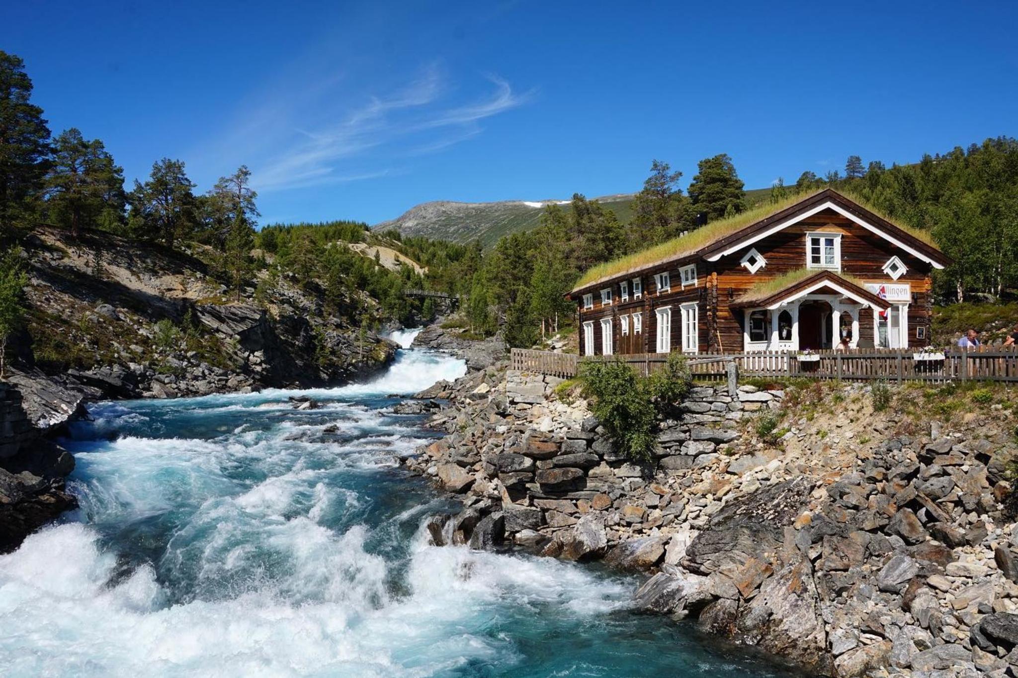 Vandretur med guide i Reinheimen Nasjonalpark