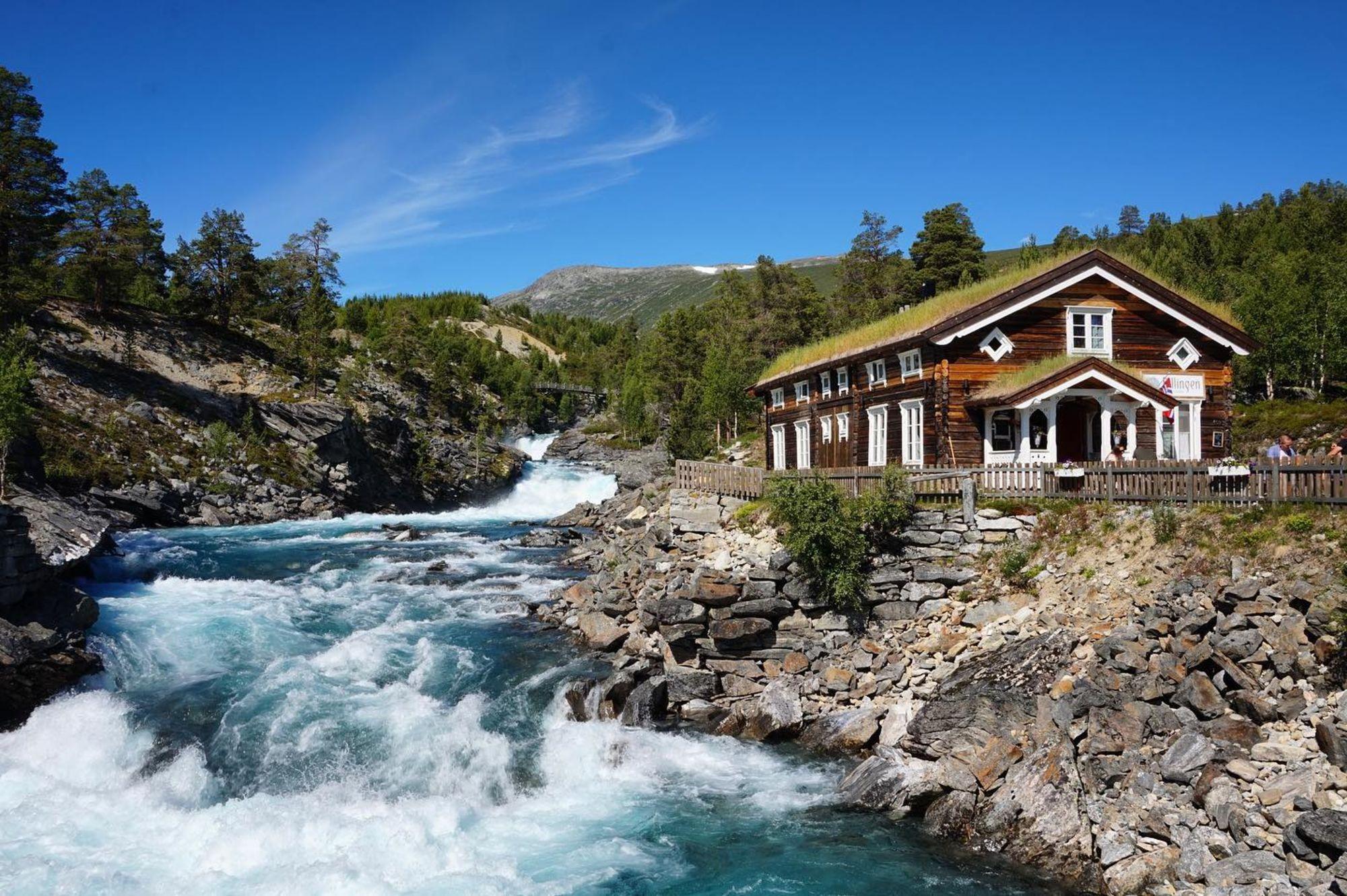 Vandretur med guide i Reinheimen Nasjonalpark