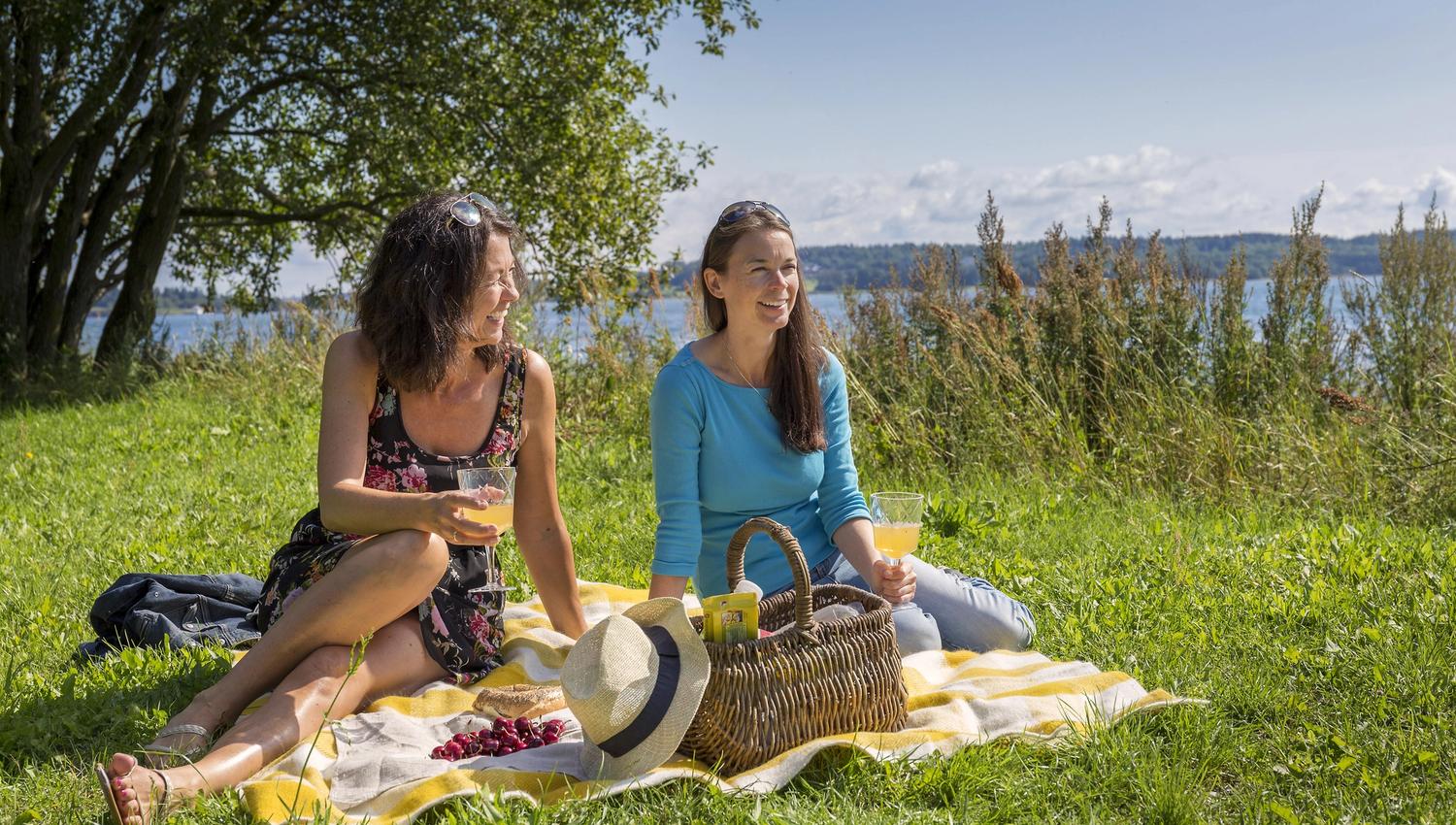 Two ladies on a picnic