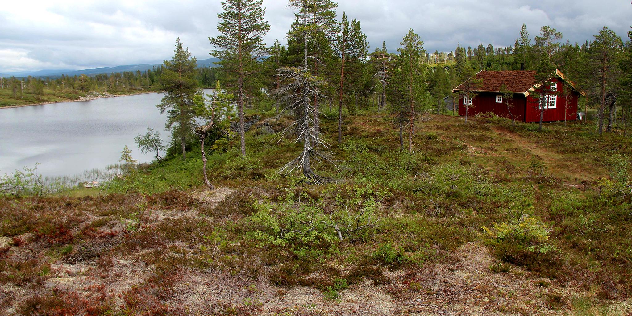 Andorsjøhytta