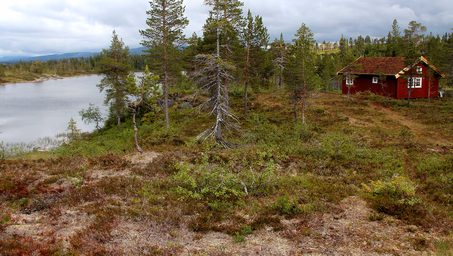 Andorsjøhytta