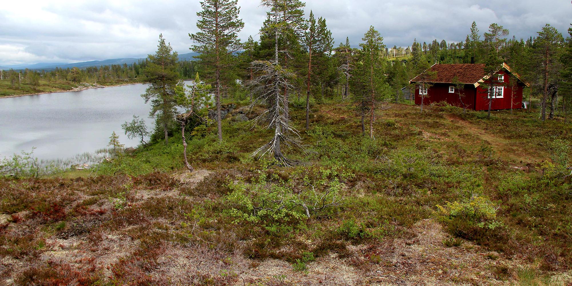 Andorsjøhytta