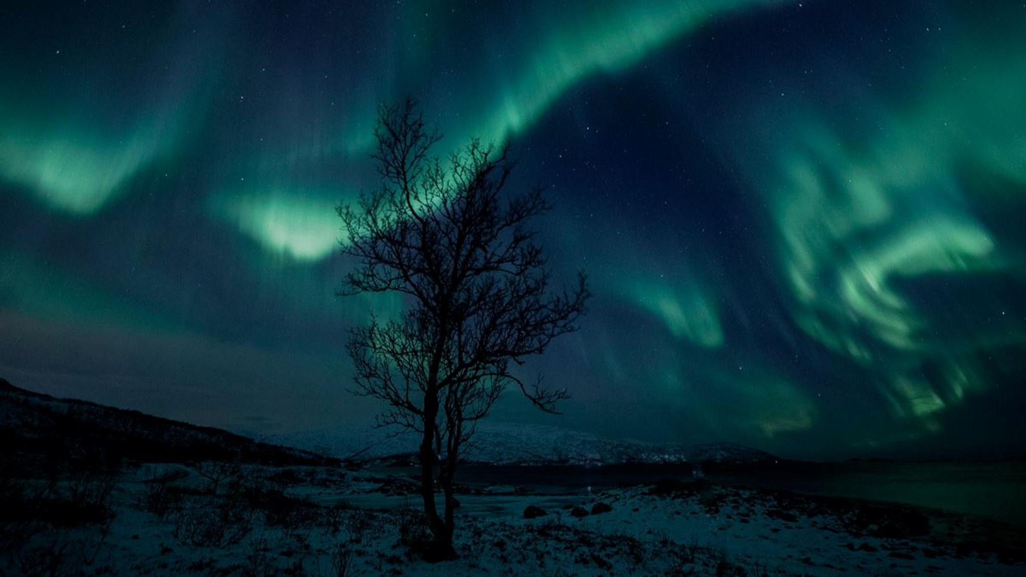 Northern Lights Chase
