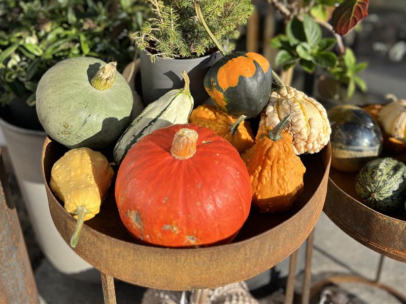 Decorative pumkins