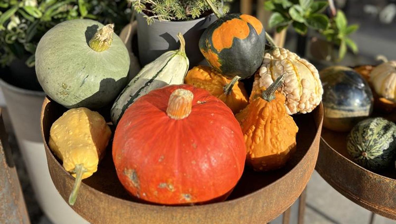 Decorative pumkins