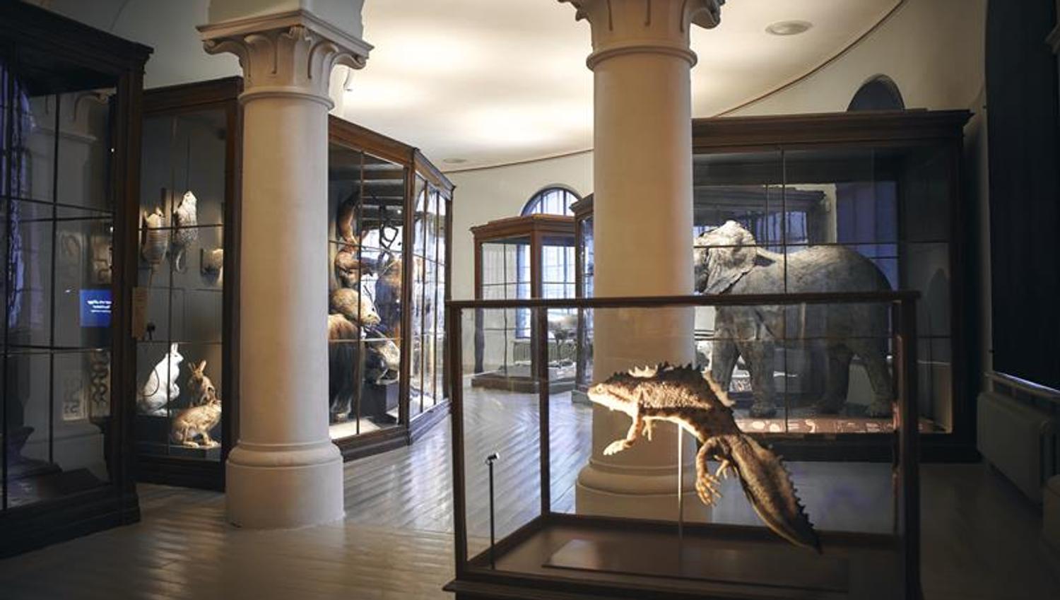 The University Museum of Bergen
