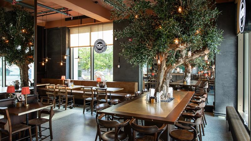 Et luftig restaurantrom med flere oliventrær, trestoler, bordlamper og store vinduer som slipper inn dagslys