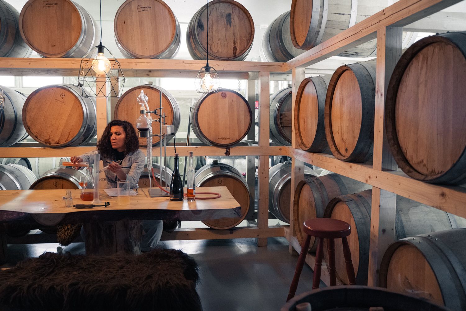 Tasting and working with cider barrels in the cellar at Edel Sider.