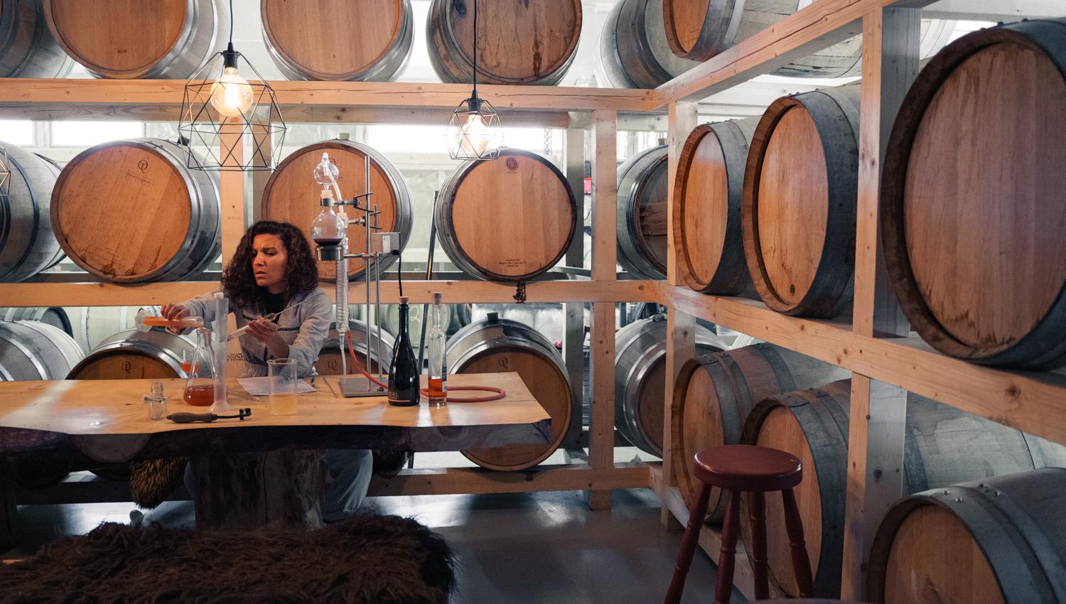 Tasting and working with cider barrels in the cellar at Edel Sider.