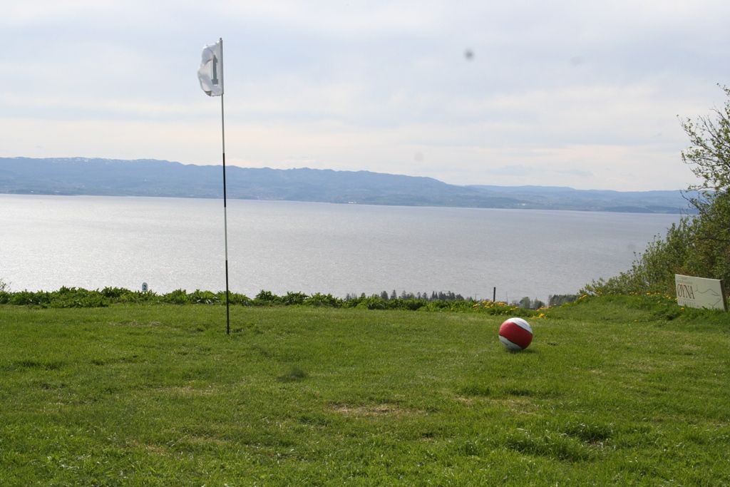 Fotballgolf