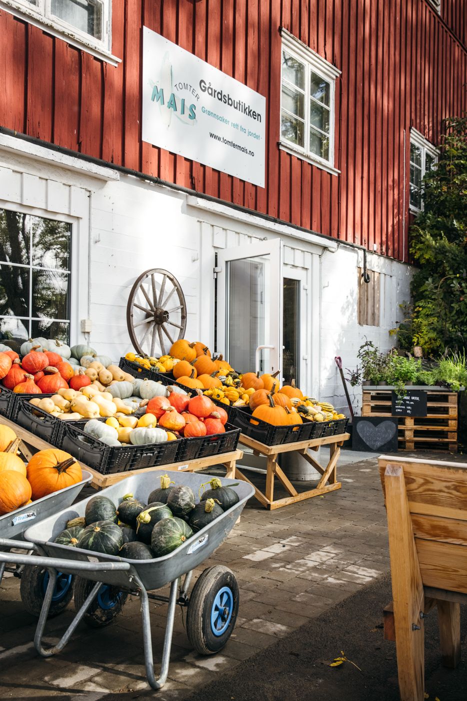 Gresskar utenfor gårdsbutikken til Haneborg gård