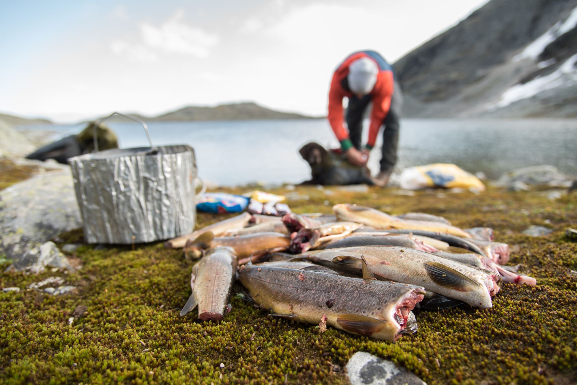 Fishing trip with personal guide.