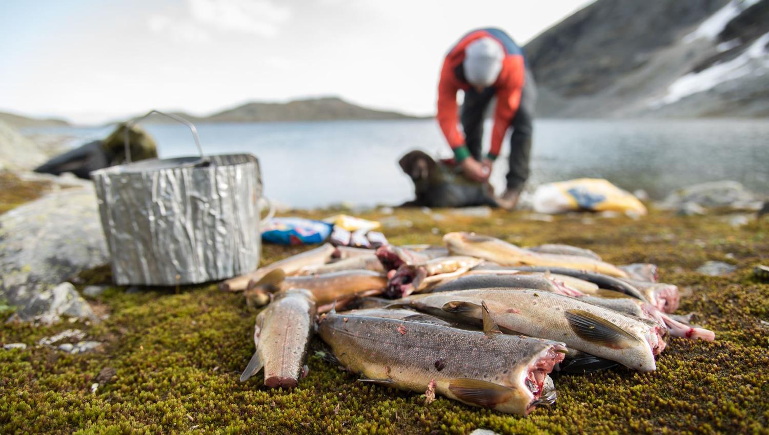Fishing trip with personal guide.