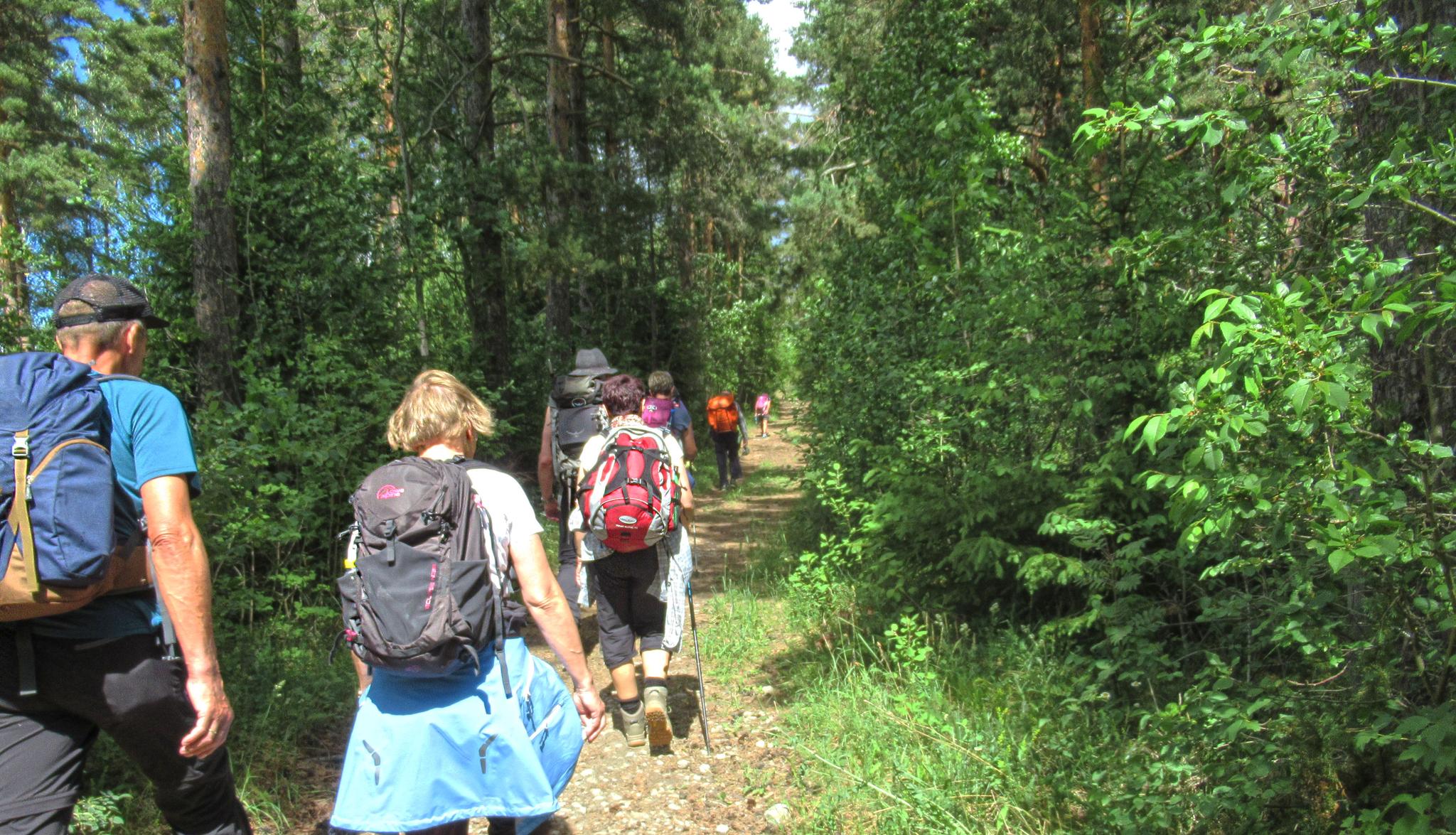 The Pilgrims trail through Ringerike