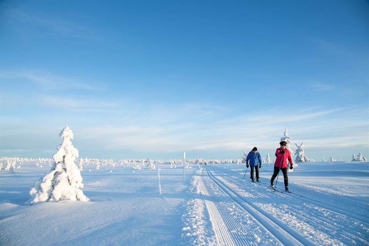 Two cross‑country skiers move along freshly groomed trails across an open, snow-covered mountain plateau beneath a clear blue sky.