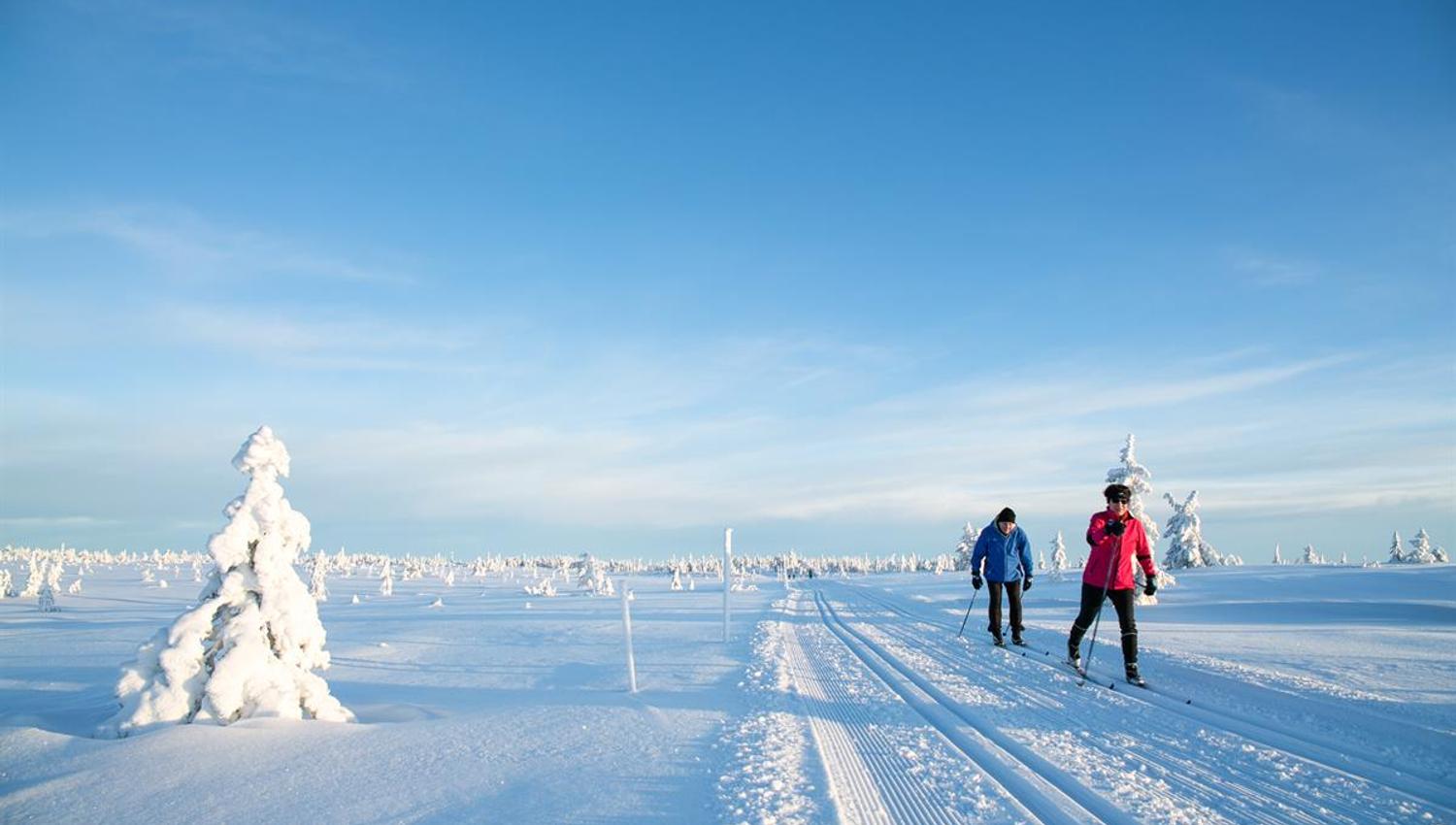 Two cross‑country skiers move along freshly groomed trails across an open, snow-covered mountain plateau beneath a clear blue sky.