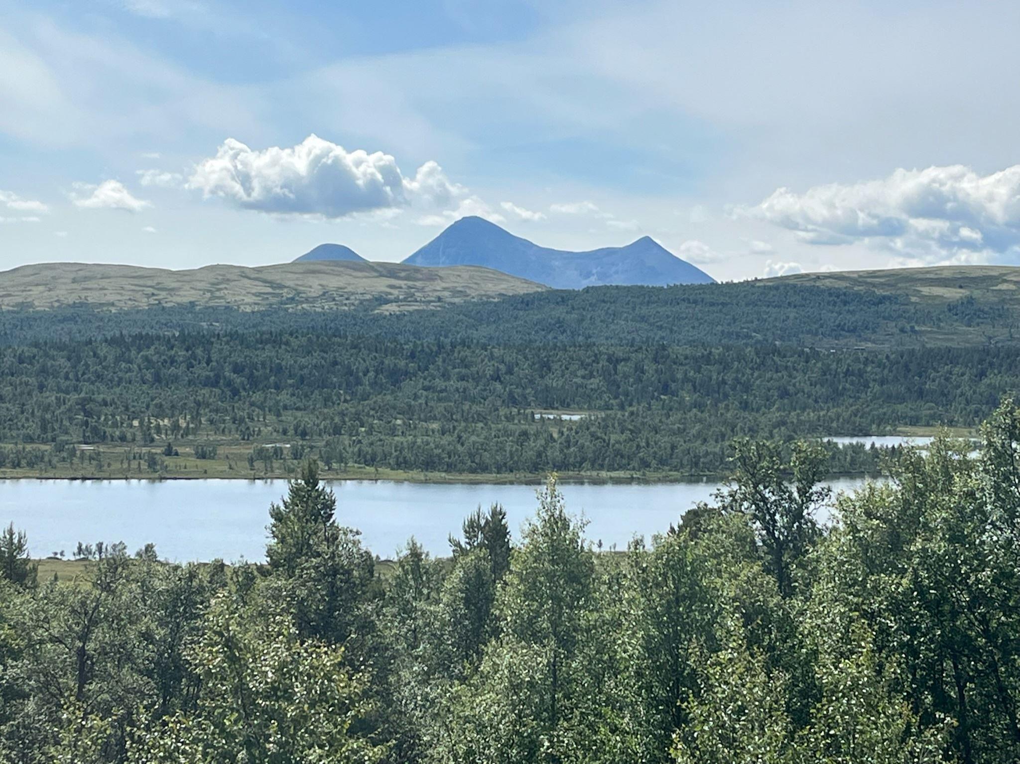 Sykkelpakker