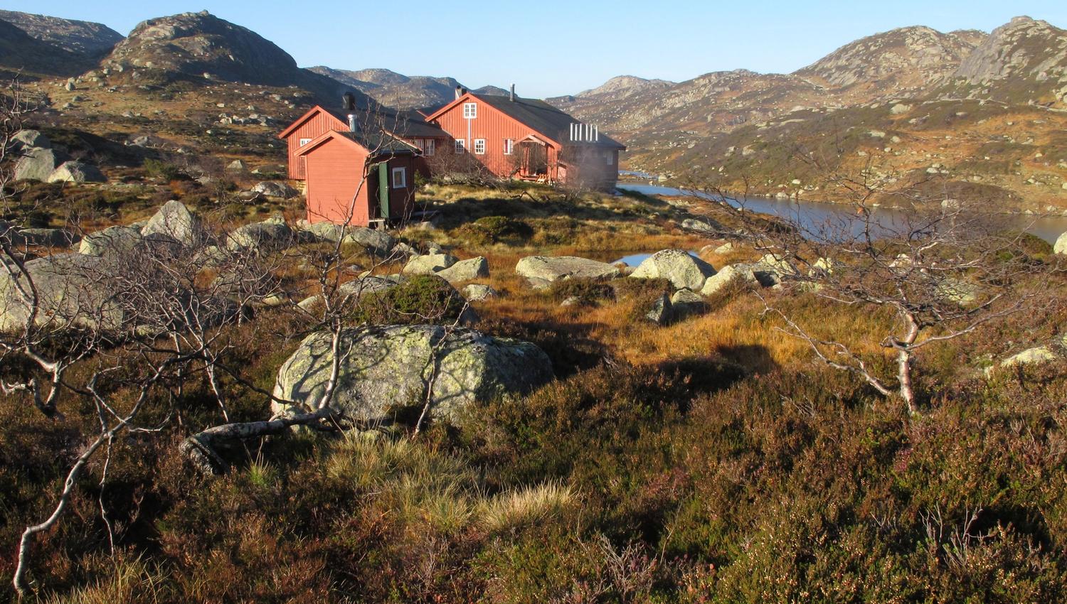 Lakkenstova med sol