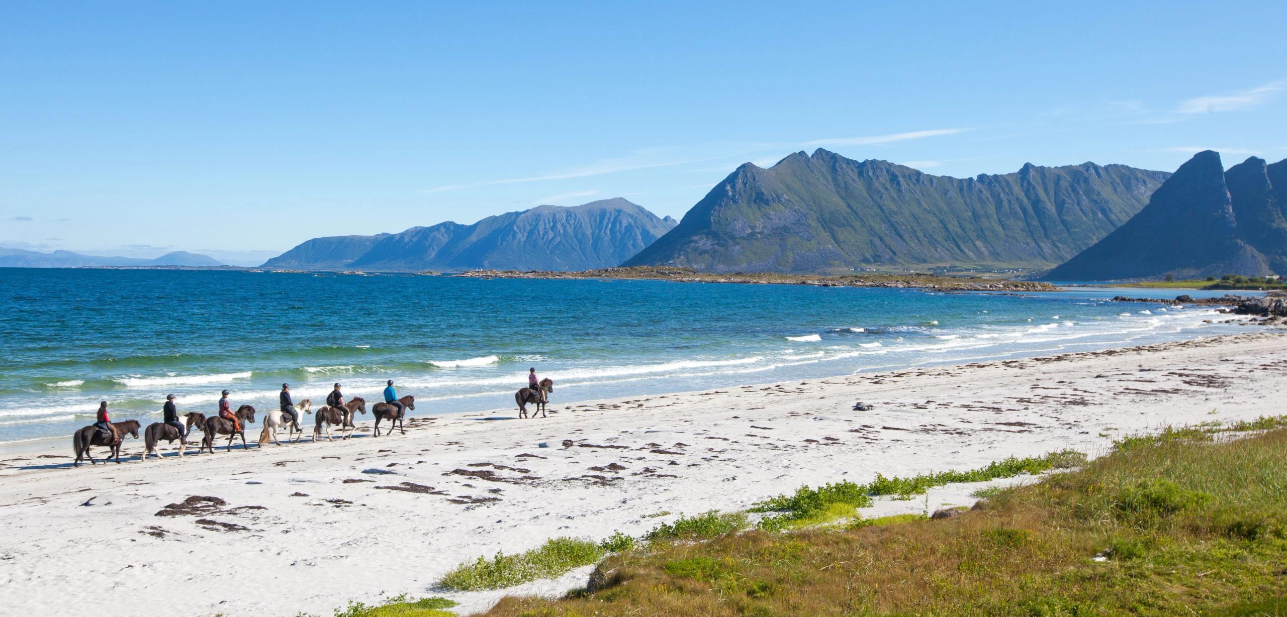 Half Day Tour (4 hours) - Horsebackriding on Icelandic Horses in Lofoten (copy)