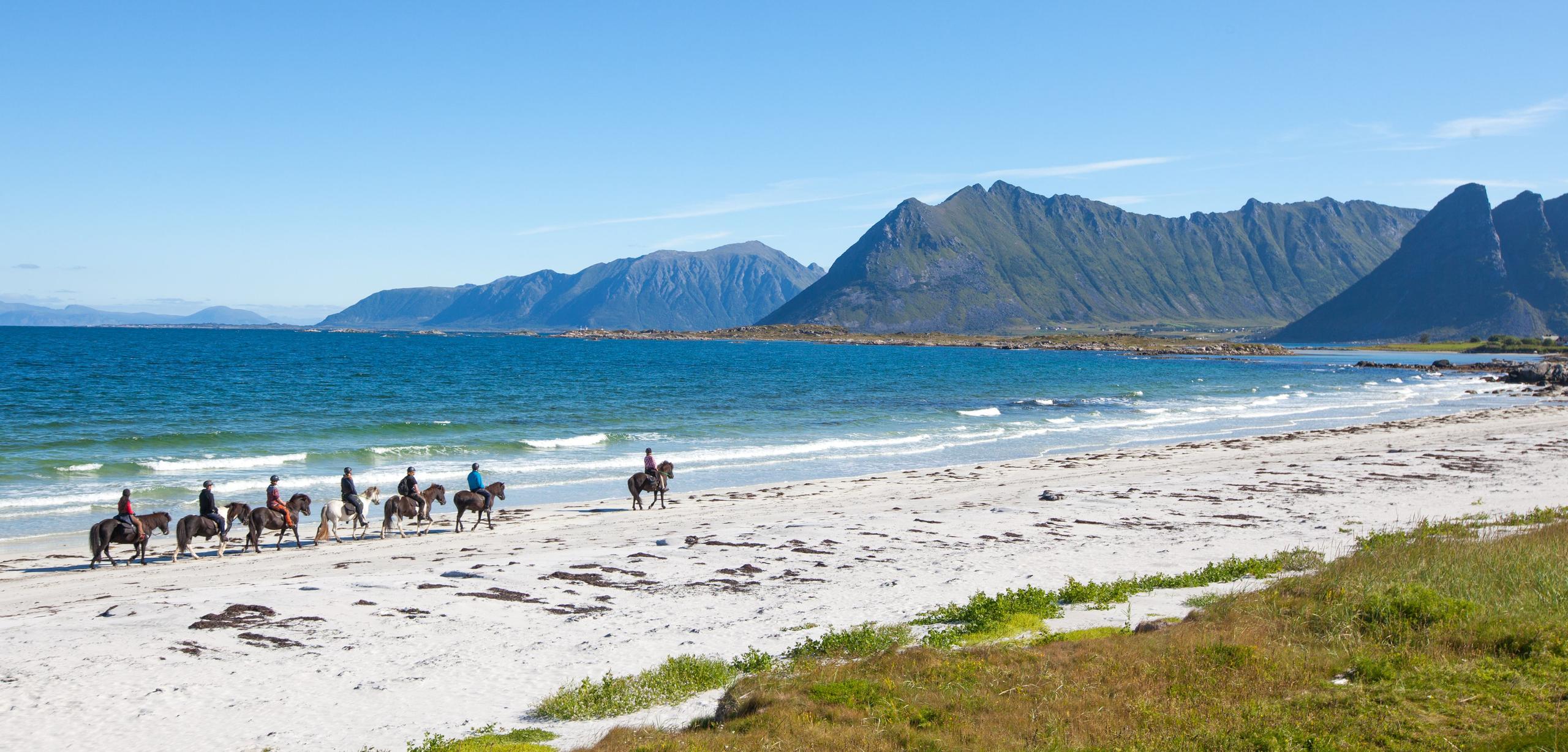 Half Day Tour (4 hours) - Horsebackriding on Icelandic Horses in Lofoten (copy)