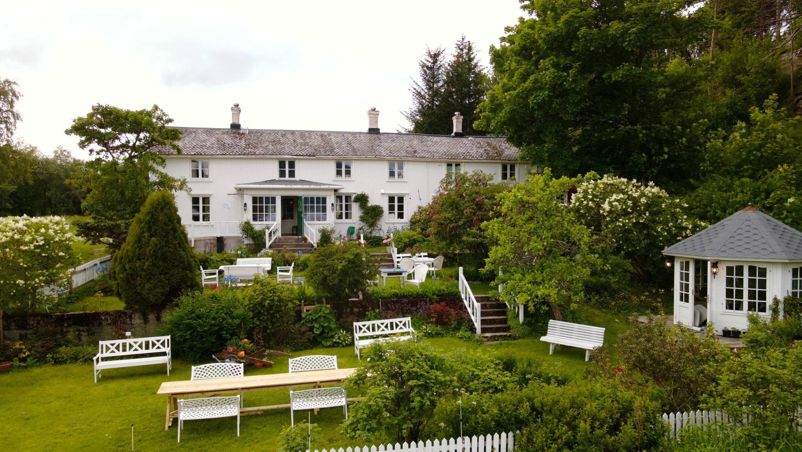 Photo of the garden