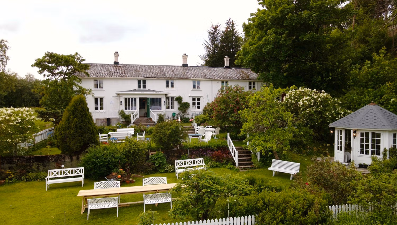 Photo of the garden
