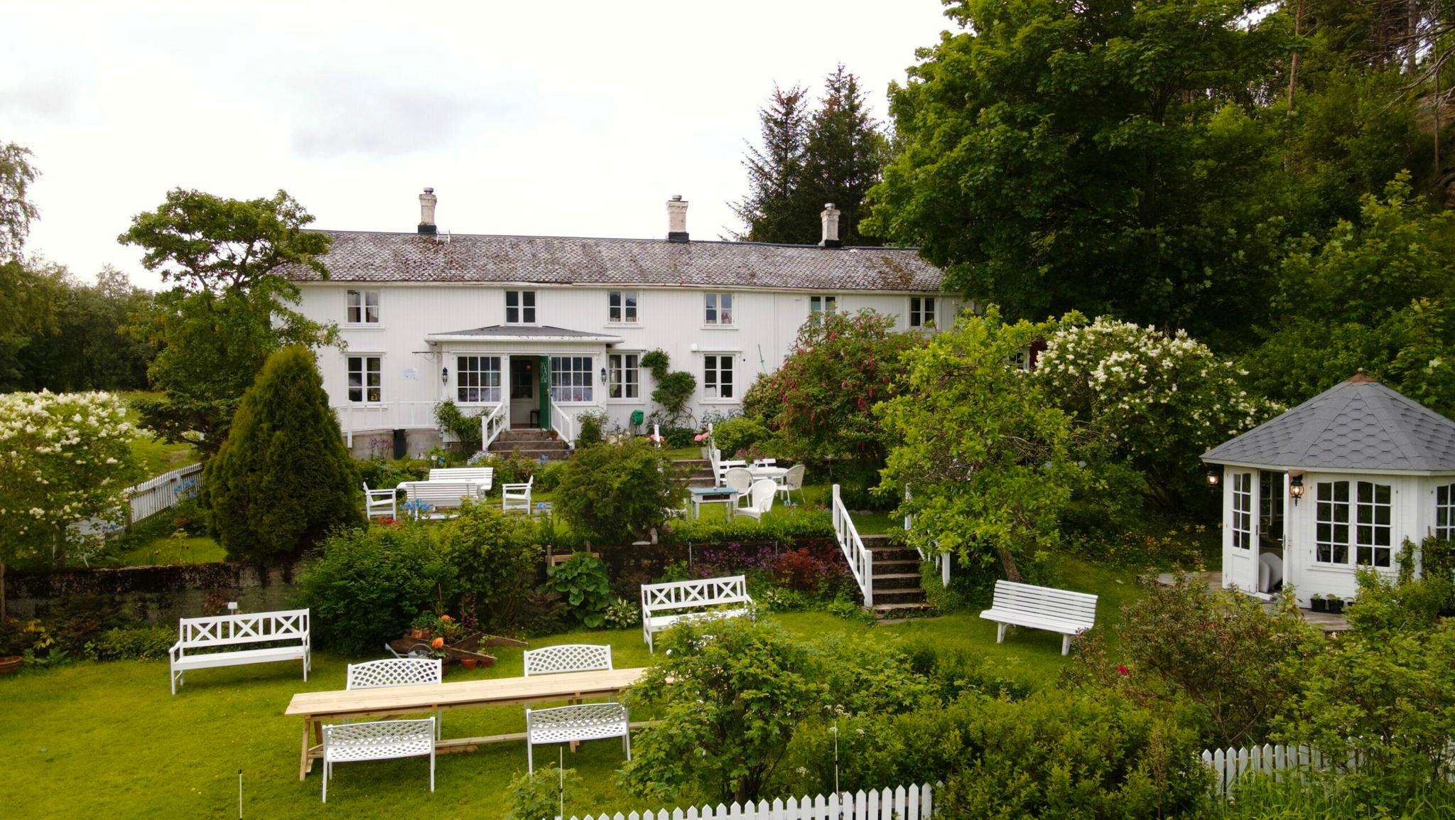 Photo of the garden
