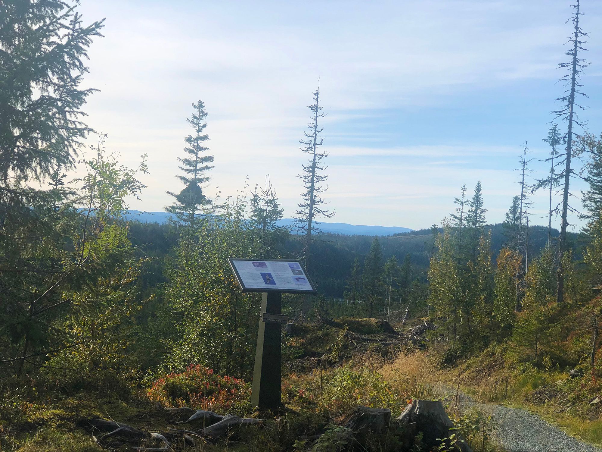 Stokkvola