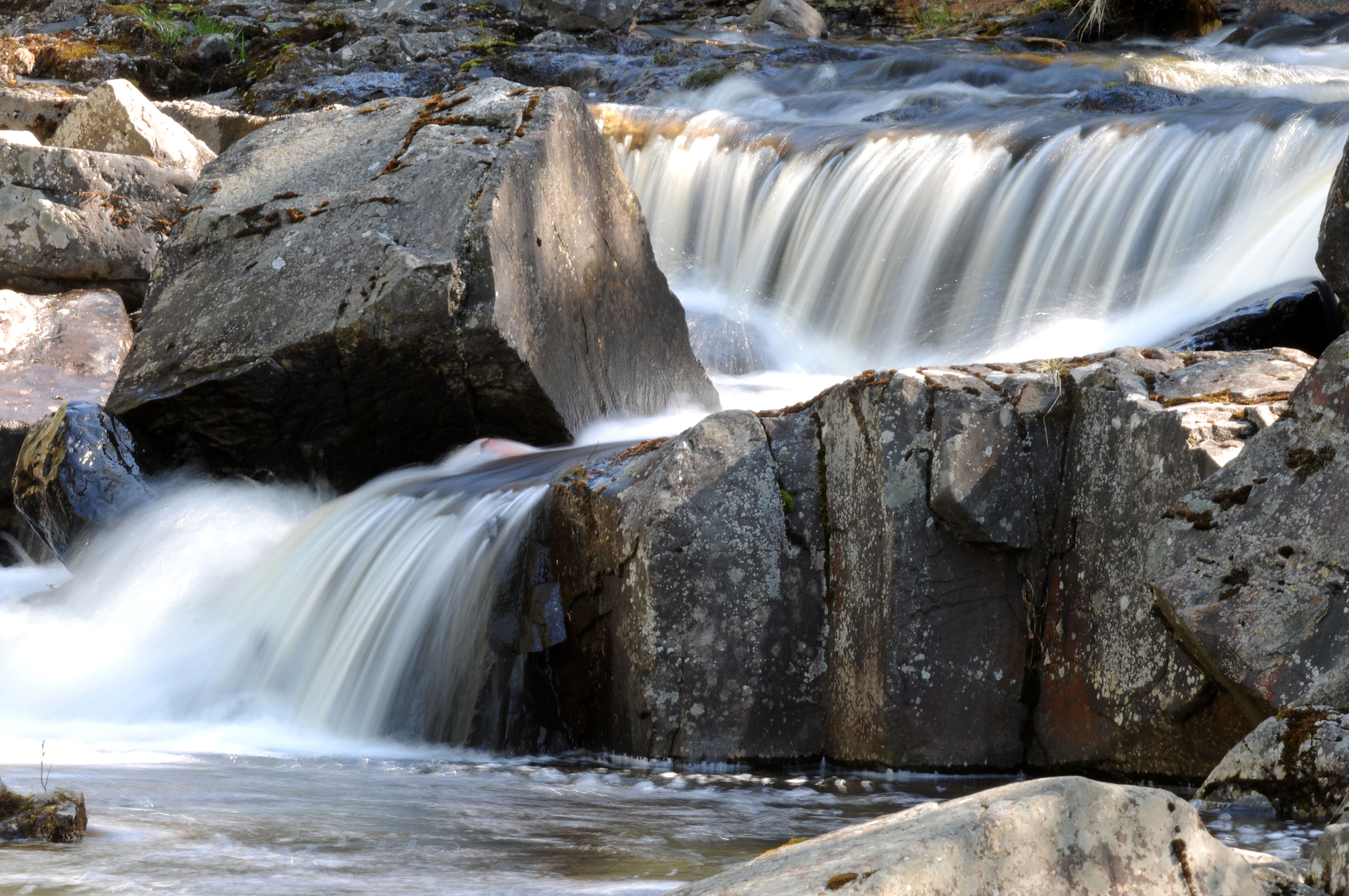 Foss
