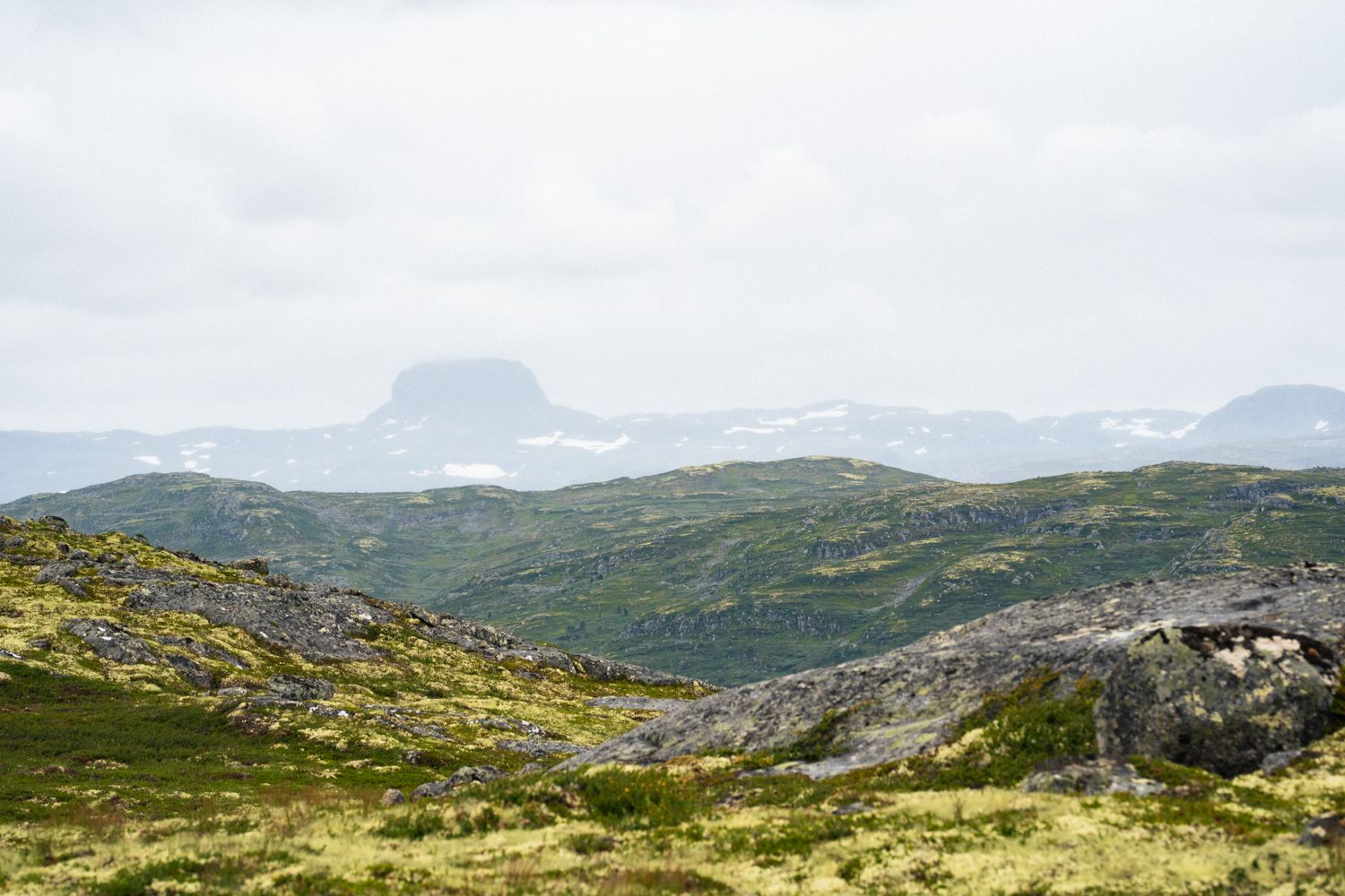 Mt. Hårteigen, the tallest mountain in the Hardangervidda, far in the background. 