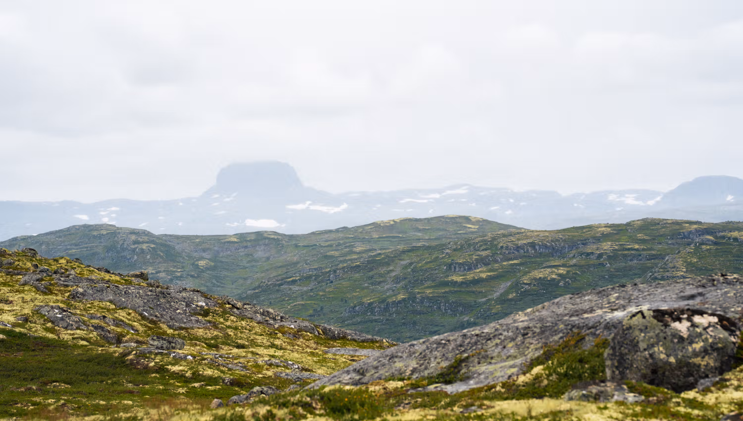 Mt. Hårteigen, the tallest mountain in the Hardangervidda, far in the background.