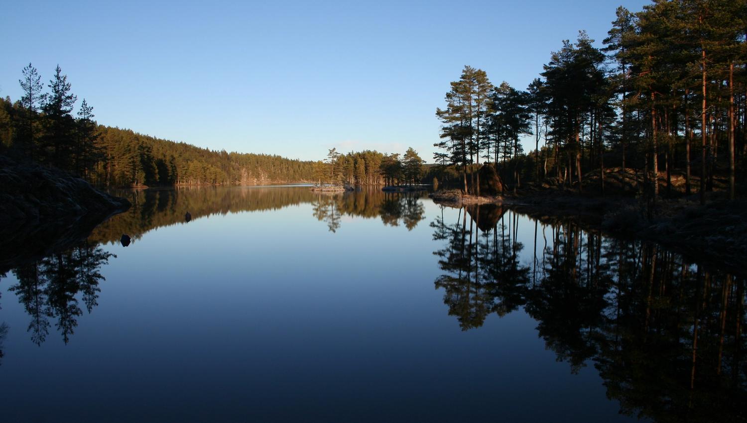 Tur i skogen
