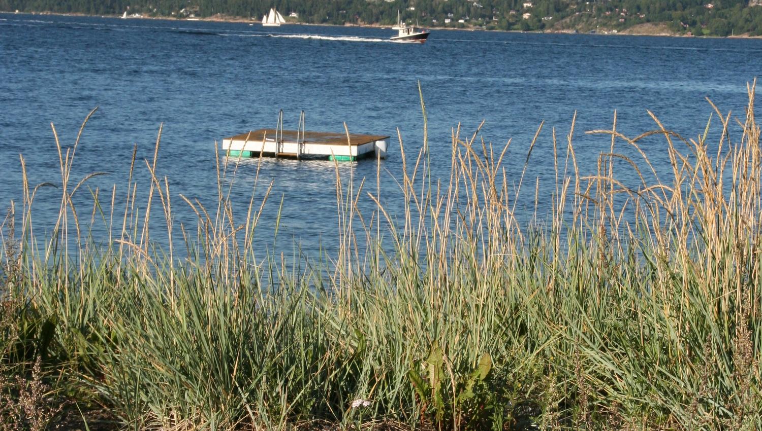 Sjøutsikt med brygge