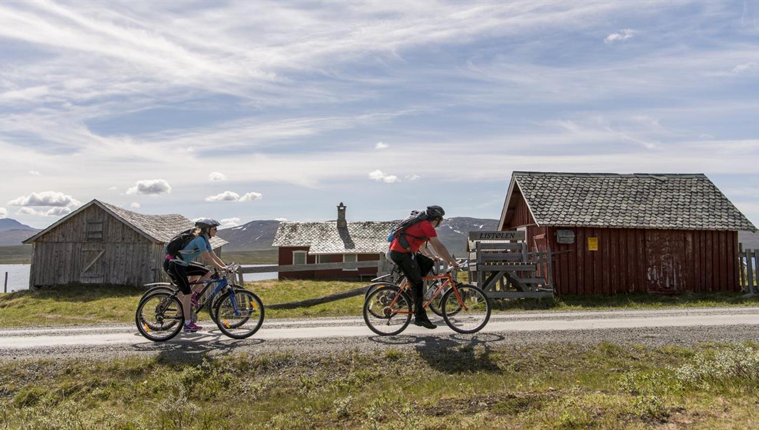 Fire syklister sett fra siden foran et rødt stølshus med vann og fjell bakenfor