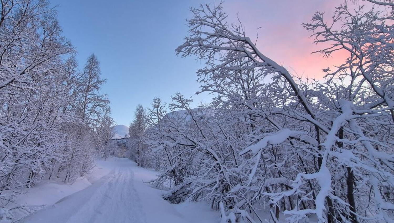Skiløypen
